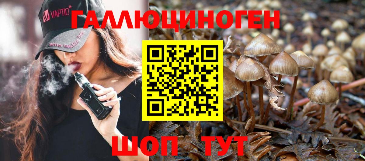 Галлюциногенные грибы MAGIC MUSHROOMS Нарьян-Мар